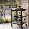 Outdoor Servierwagen Bolognano Stahl 81x50x50 cm Schwarz [casa. pro] Bild 4