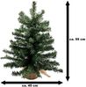 Bambelaa! Künstlicher Weihnachtsbaum 55 cm Grün Weihnachtsdeko mit flexiblem Design und Betonsockel im Jutesack für Büro und Zuhause (ca. 80 Äste) Bild 2