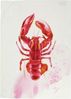 PICHLER Handtücher Pichler Geschirrtuch LOBSTER, hummer Bild 4