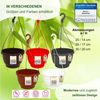 Heimwerkercenter Blumentopf MePla - 2 Stück Wetterfestes Ampel KOMET - ø20 cm - Braun Bild 4