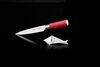 Friedrich Dick Red Spirit Filetiermesser zum Filetieren, Klingenlänge 18 cm Bild 2