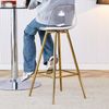 Barhocker mit transparenter Lehne, goldfarbenes Metallgestell, modern-minimalistisch, 2er-Set,38x33x96.5 cm Bild 4