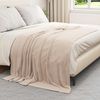 vidaXL Überwurfdecke Beige 150 x 200 cm Fleece 42016758 Bild 3