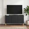 vidaXL TV-Schränk Schwarz 99 x 34,5 x 50 cm Holzwerkstoff 894716 Bild 4