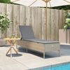 vidaXL Sonnenliege mit Auflage Beige Poly Rattan 4002722 Bild 3