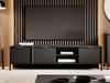 TV-Lowboard Lars 203 3D (Farbe: Anthrazit / Anthrazit + Gold) Bild 4