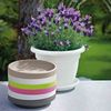 Untersetzer MEDEA Ø 28 cm anthrazit Blumentopf Pflanzkübel Topfuntersetzer Bild 3