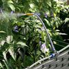vidaXL Garten-Pflanzgefäß 4 Stk. Schwarz 160 x 40 x 37,5 cm PP 42002847 Bild 5
