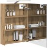 vidaXL Badezimmerspiegelschrank Kunsthandwerk Eiche 50 x 14,5 x 70 cm 889054 Bild 3