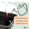 4er Set Blumenkasten mit Wasserspeicher Blumenkasten Fensterbank Pflanzkasten Outdoor Wasserstandsanzeiger Gießschacht Bewässerungsband 60 cm Anthrazit Bild 4