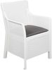 vidaXL Lounge-Set mit Kissen 3 pcs Weiß PP 42035143 Bild 4