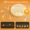 SALCAR 5m 50er LED Lichterkette Bild 2