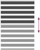 vidaXL Doppelrollo Schwarz 115x150 cm Stoffbreite 110,9 cm Polyester 4014238 Bild 5