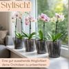 GarPet Blumentopf 4er Set Orchideentopf Rauchfarbig Orchideen Übertopf Kunststoff 13 cm Bild 3