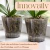 GarPet Blumentopf 4er Set Orchideentopf Rauchfarbig Orchideen Übertopf Kunststoff 13 cm Bild 5