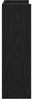 vidaXL Schuhregal Schwarz 60x25x81 cm Holzwerkstoff 859879 Bild 5