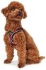 Hundegeschirr Hilo 33-36/XXS-XS rot Bild 2