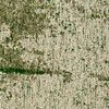 9489 Piquant Green - 170 x 240 Bild 3