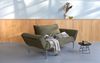 Innovation Living Zeal Klappsofa 70x200 cm Bild 2