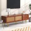 TV-Schrank, mit Rattan-Schiebetüren, 2 Schubladen, verstellbaren Böden & Metallfüßen, 160x40x60 cm, Walnuss Bild 4