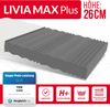 Matratze 120x200 Kaltschaum LIVIA MAX PLUS 7 Zonen profilierter Schaum H4 26 cm JERSEY Bild 2