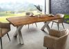Baumtisch Akazie 200x100x77 Akazie natur lackiert / X-Beine silber matt FREEFORM 5 Bild 3