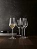 Spiegelau Style Champagnerglas 310 ml 12er Set Bild 3