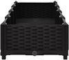 vidaXL Hochbeet 160x40x23 cm Polypropylen 316529 Bild 5