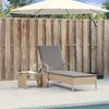 Sonnenliege, Gartenliege mit Rollen und Auflage Beige Poly Rattan Bild 3