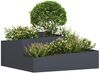 vidaXL Garten-Pflanzgefäß Anthrazit 100 x 100 x 50 cm 873587 Bild 3