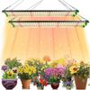 LMaxhome Pflanzenlampe LED Vollspektrum Wachstumslicht Dimmbar Grow Zimmerpflanzen Lampe 150W, Sonnenlicht-226LEDs Lm281B 5000K Gemüse Blumen Sämling Pflanzenlicht Bild 4