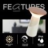 Briloner Leuchten LED Tischleuchte PILIA, LED wechselbar, Warmweiß, 15x24 cm, Akku tauschbar, Indoor/Outdoor, Wohnzimmer, Balkon Bild 2