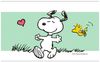 Geda Labels GmbH Kinderbecher Trinkbecher Snoopy Kids 2er Set 330ml PP, 2-tlg, PP, 2-teilig Bild 3