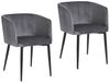 HTI-Living Esszimmerstuhl Stuhl Destin Velvet Grau (Set), Esszimmerstuhl Samt Bild 2
