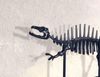 Dekofigur T-Rex Aluminium Schwarz 62cm mit Sockel Modernes Wohnaccessoire Bild 5