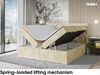 MEBLINI Boxspringbett DALIA 120x220 cm mit Bettkasten - H3/Beige Samt Polsterbett - Doppelbett mit Topper & Taschenfederkern-Matratze Bild 3