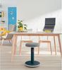 Leitz Ergo Cosy Aktiv Sitz- & Stehhocker Bild 4