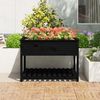 vidaXL Pflanzkübel mit Ablage Schwarz 111,5x111,5x81 cm Kiefernholz 823805 Bild 3