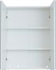 trendteam smart living Badezimmer Spiegelschrank Skin, 60 x 67 x 18 cm Front Spiegelglas, Korpus Weiß Melamin mit viel Stauraum, 60 x 67 x 18 cm (BxHxT) Bild 4