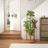 Bamworld Blumenständer platzsparender Pflanzenregal für Wohnzimmer & Garten, Blumentreppe (1 St), Holzblumenständer 3-stöckig, 33x54 cm Bild 3