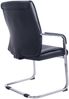 2er Set Freischwinger XXL Anubis [319746] Bild 5
