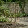 CLP 2er Set Rankgitter Elisa 100 x 50 cm lackiertes Eisen im Jugendstil für Garten,bronze Bild 2