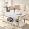 BarberPub Couchtisch Gold, Beistelltisch mit Schublade, Sofatisch mit 2 Ablagen, Moderner Wohnzimmertisch Metall, Kaffeetisch für Wohnzimmer, Schönheitssalon, Marmor-Weiß, 50x100,5x48cm, 2141 Bild 2