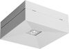 Notleuchten-Leuchte AWEX LOVATO II LED 3W (opt. universal) 350lm 1h einbatt. weiß LV2U/3W/CSE/X/WH - LV2U/3W/CSE/X/WH Bild 1
