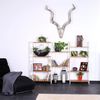 dibea Bambusregal mit 5 verstellbaren Ablageflächen, Schuhschrank, Badezimmerregal, Wohnzimmerregal, Standregal, Badregal, Bücherregal, Küchenregal, zu Regalwand kombinierbar, 60 x 26 x 130 cm (naturfarben / weiß) Bild 2