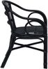 vidaXL Stapelstuhl Schwarz 58 x 60 x 81 cm Rattan 42033215 Bild 5