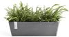 ECOPOTS Blumentopf Bruges, mit Wasserbehälter, BxTxH: 17x55x17 cm Bild 3