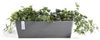 ECOPOTS Blumentopf Bruges, mit Wasserbehälter, BxTxH: 17x55x17 cm Bild 4