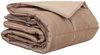 vidaXL Sommerdecke Gold 200 x 200 cm Satin und Mikrofaser 42025767 Bild 2