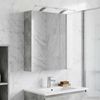 vidaXL Badezimmerspiegelschrank mit Regal Beton Grau 60 x 14,5 x 70 cm 889066 Bild 4